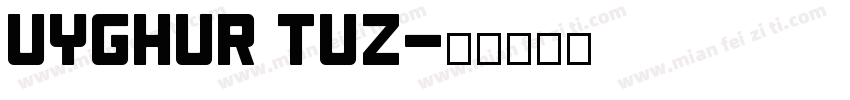 Uyghur Tuz字体转换